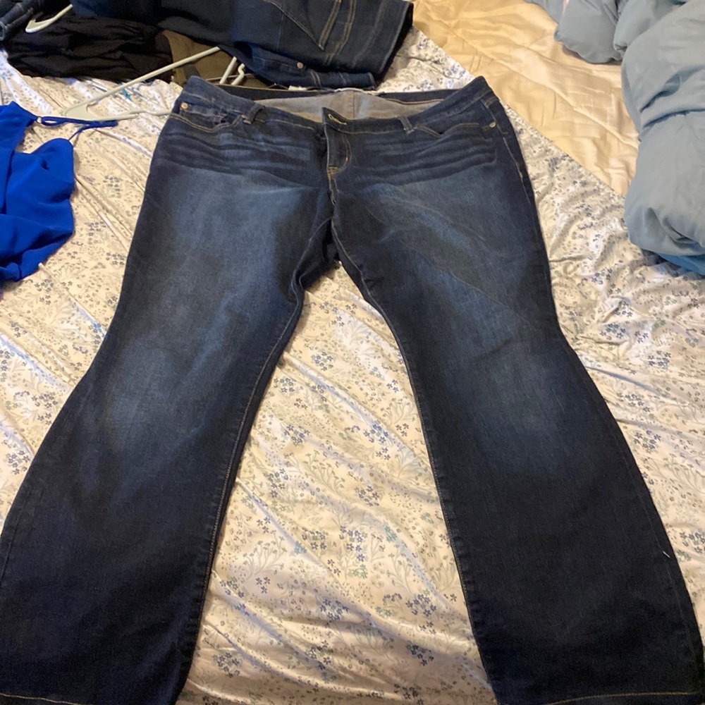 Torrid Jeans